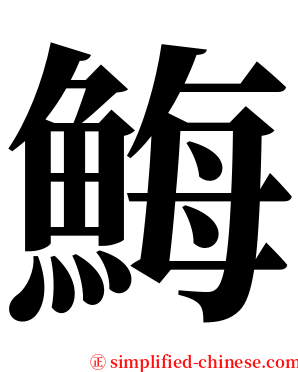 䱕 serif font