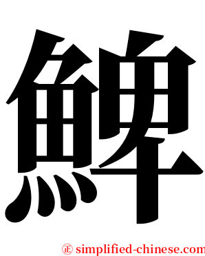 䱝 serif font
