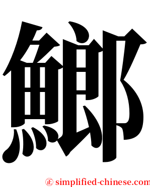 䱶 serif font