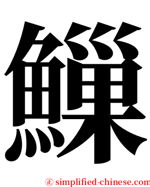 䲃 serif font