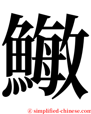䲄 serif font