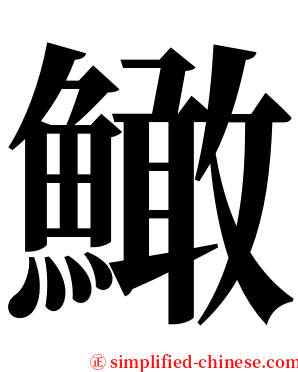 䲎 serif font