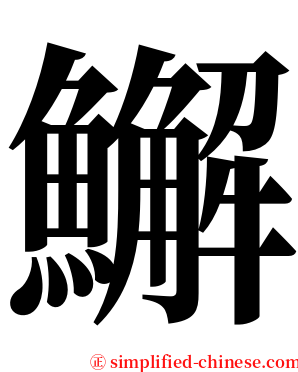 䲒 serif font