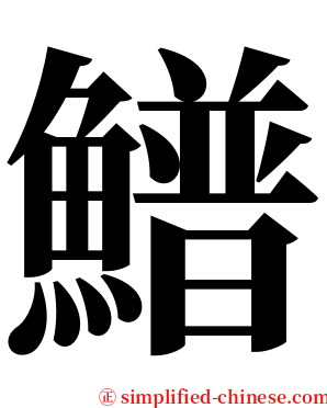 䲕 serif font