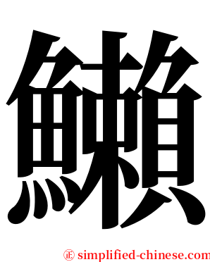 䲚 serif font