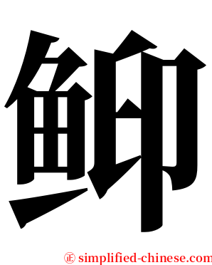 䲟 serif font