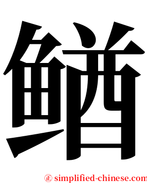 䲡 serif font
