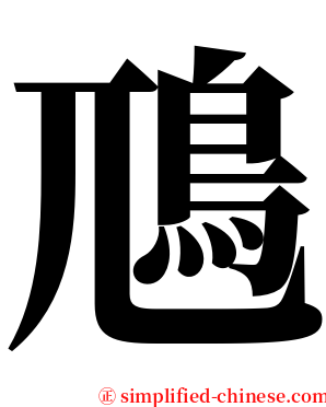 䲫 serif font