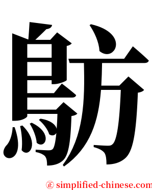 䲱 serif font