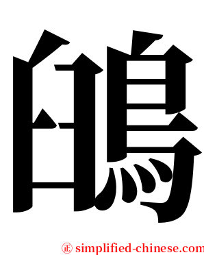 䳎 serif font