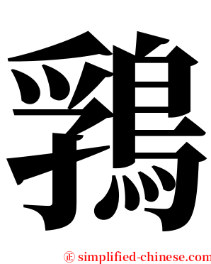 䳕 serif font