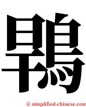 䳚 serif font