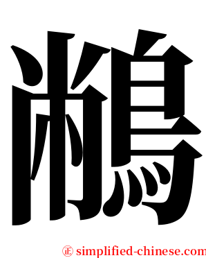 䳤 serif font