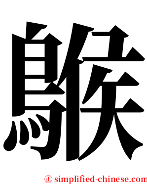 䳧 serif font