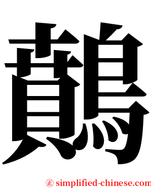 䴅 serif font