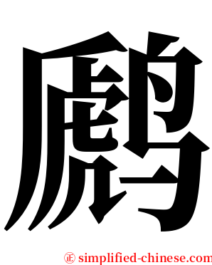 䴘 serif font