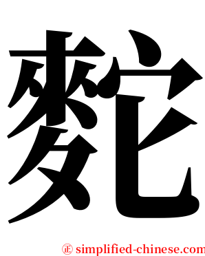 䴱 serif font
