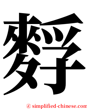 䴸 serif font