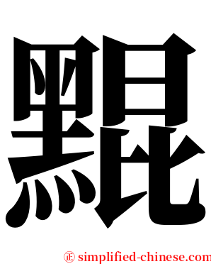 䵪 serif font
