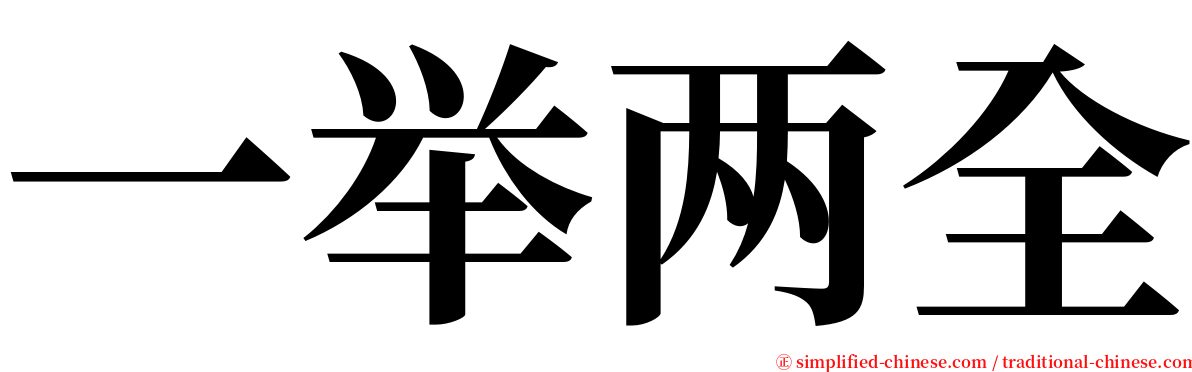 一举两全 serif font