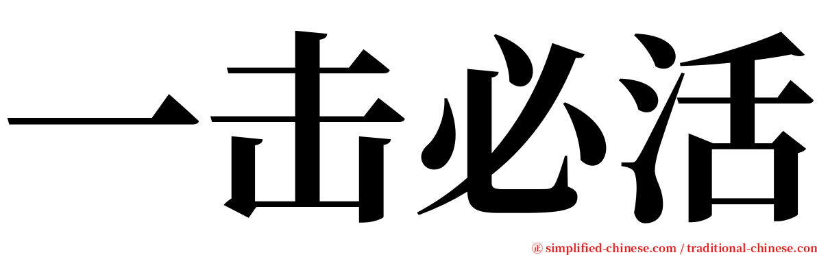 一击必活 serif font