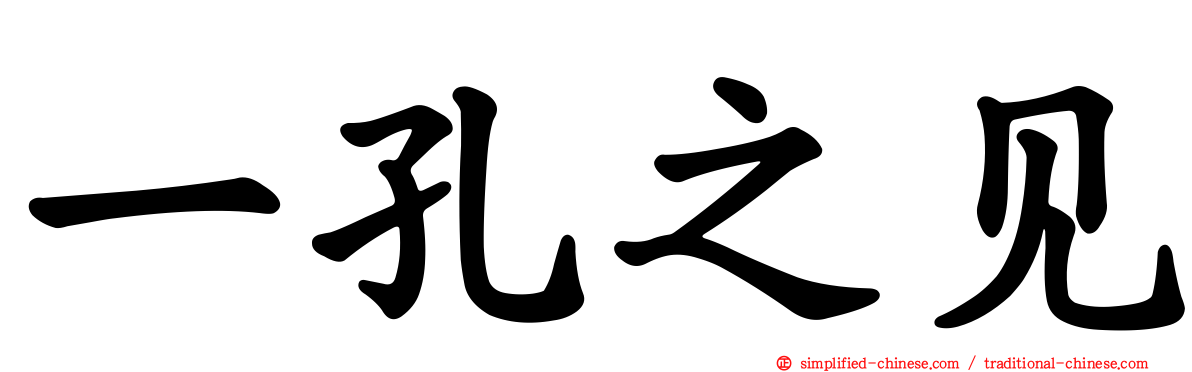 一孔之见