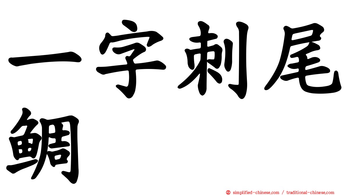 一字刺尾鲷