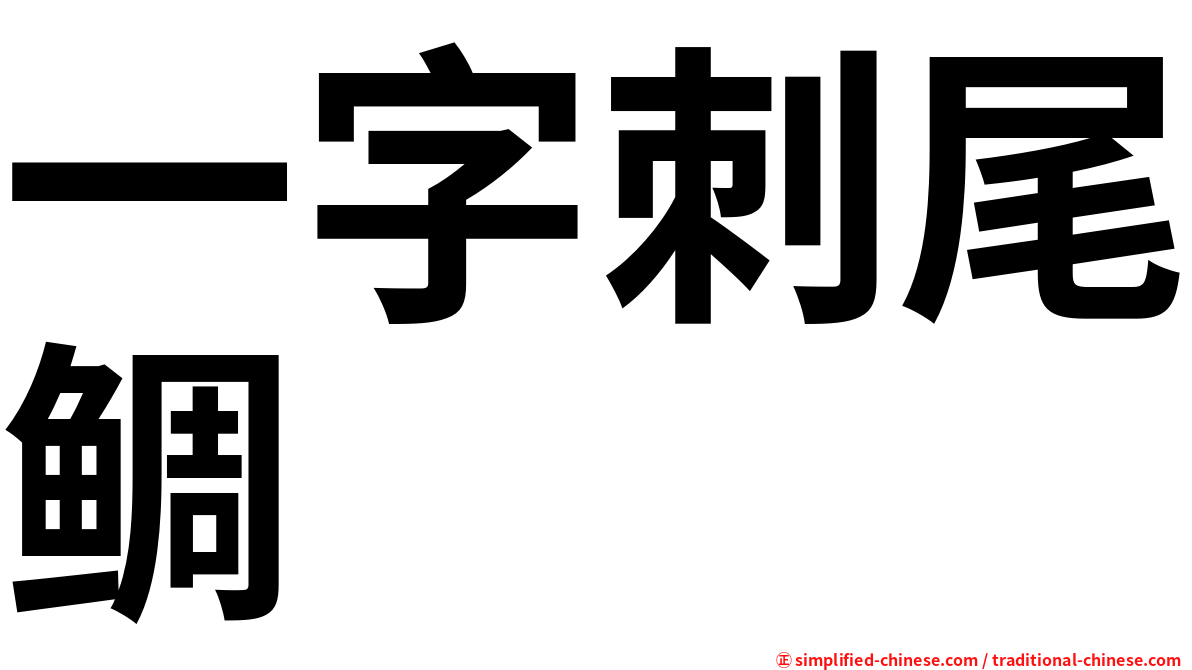 一字刺尾鲷