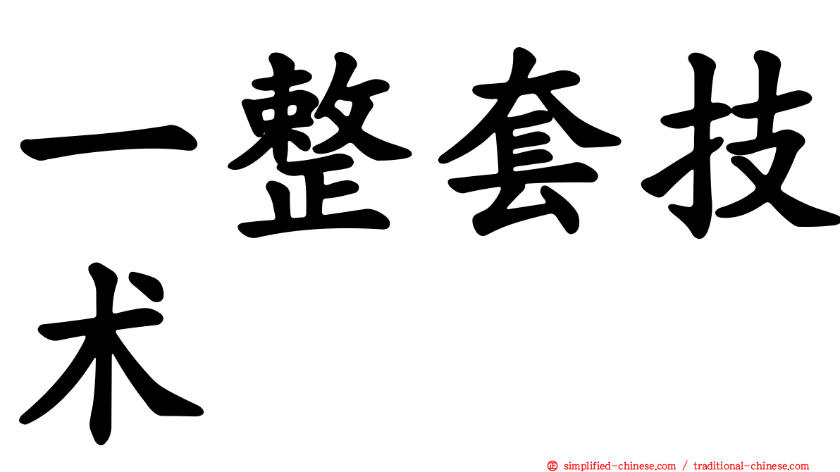 一整套技术