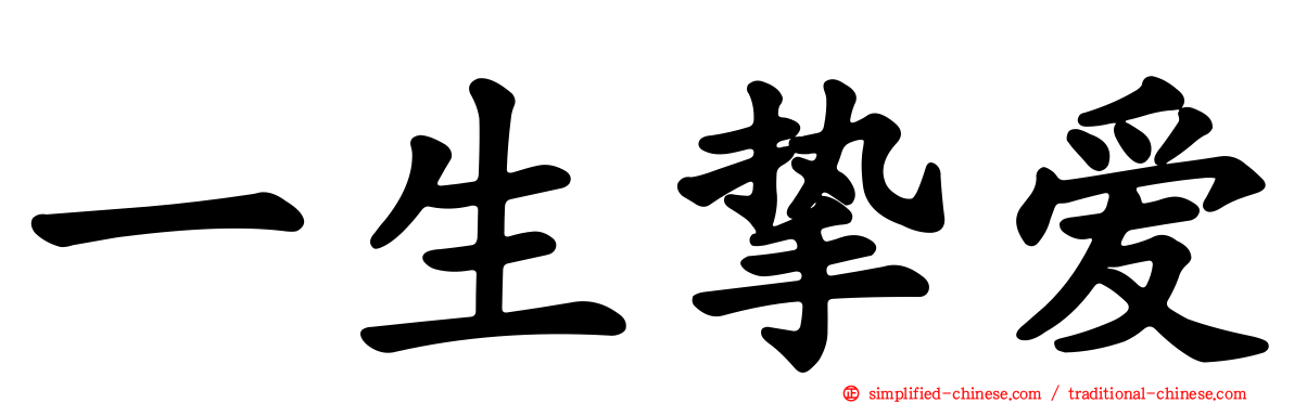 一生挚爱
