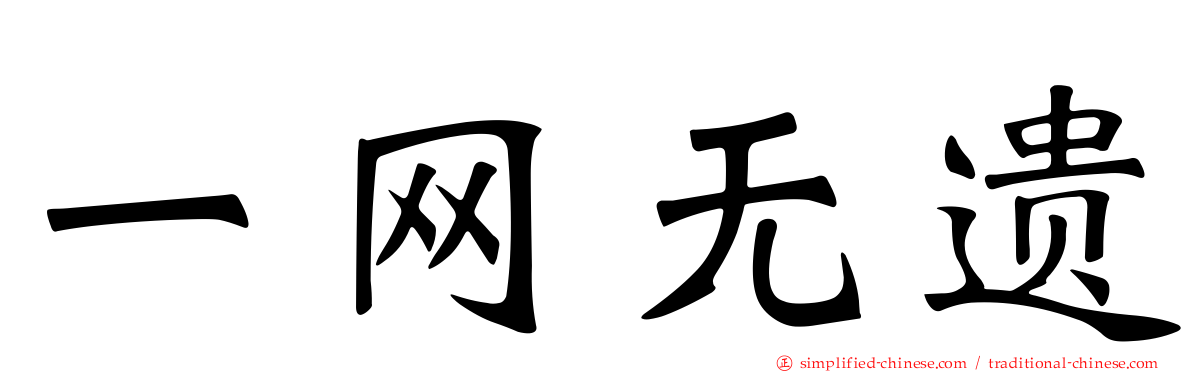 一网无遗