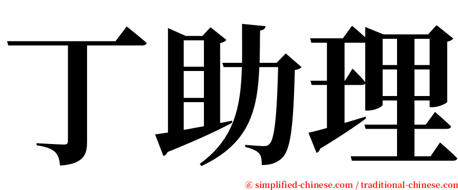 丁助理 serif font