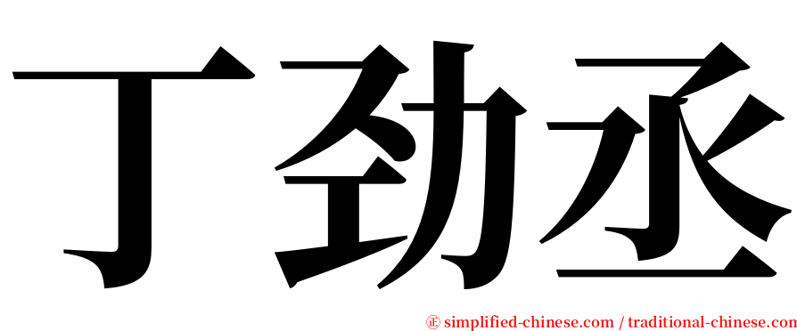 丁劲丞 serif font