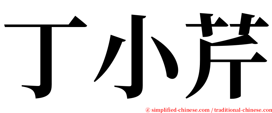 丁小芹 serif font