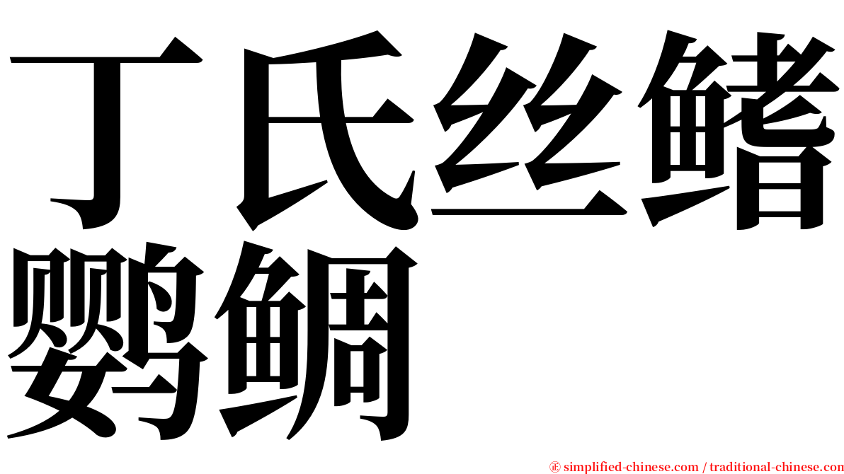 丁氏丝鳍鹦鲷 serif font
