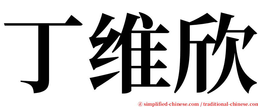 丁维欣 serif font