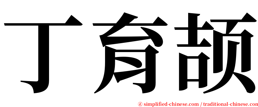 丁育颉 serif font
