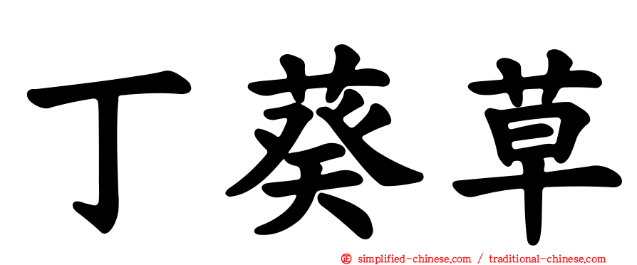 丁葵草