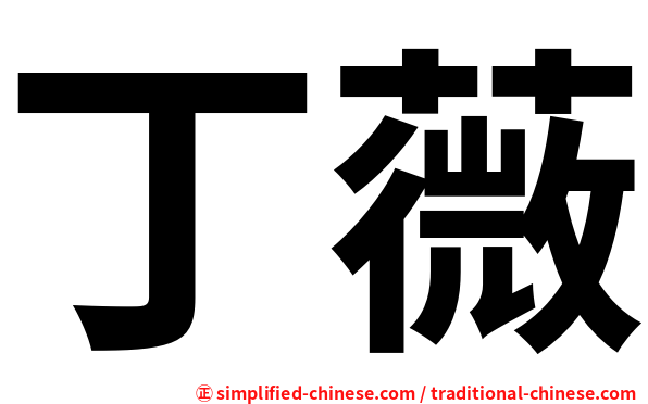 丁薇