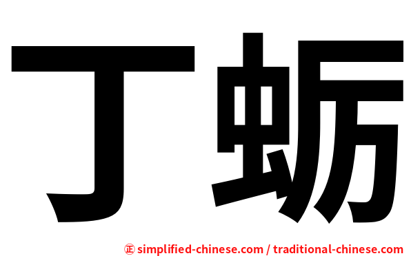 丁蛎