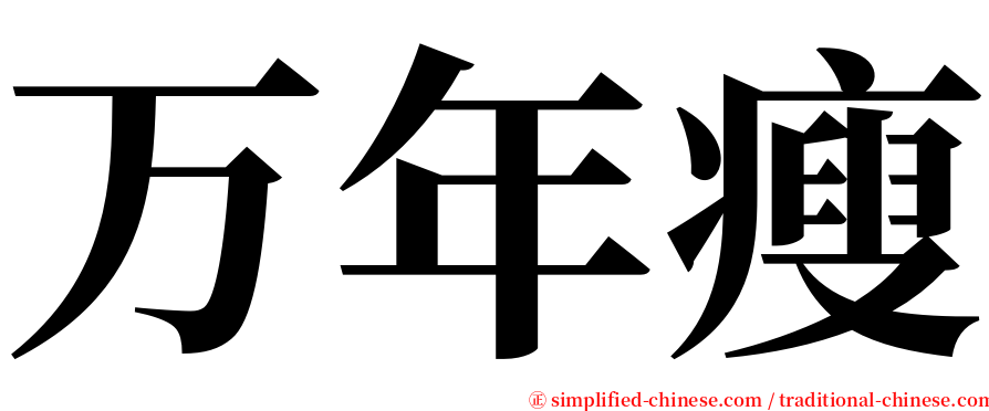 万年瘦 serif font
