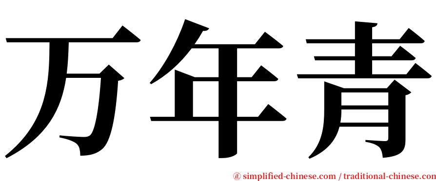 万年青 serif font