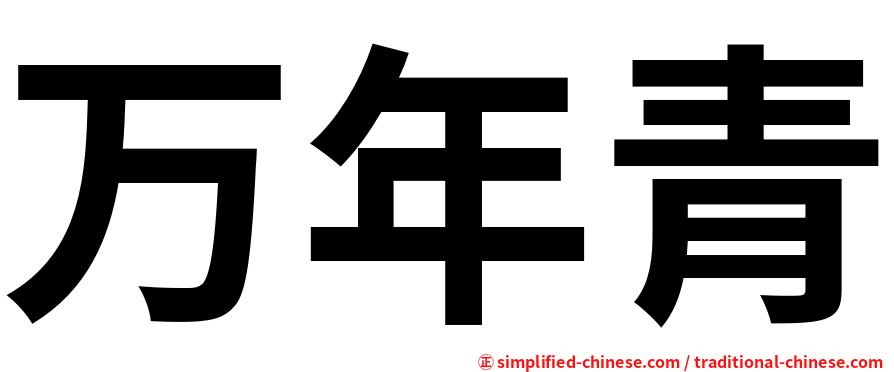 万年青