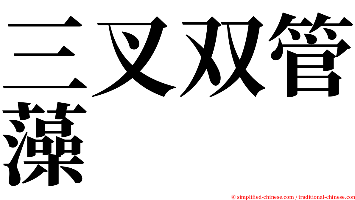 三叉双管藻 serif font