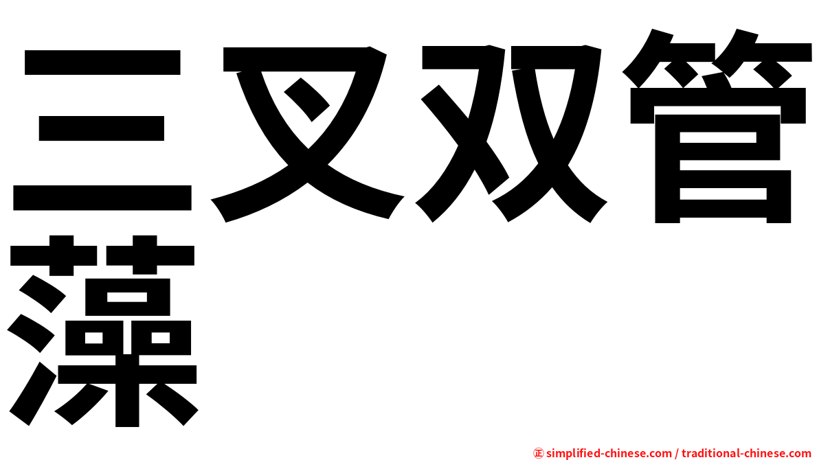 三叉双管藻