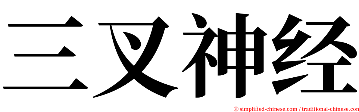 三叉神经 serif font