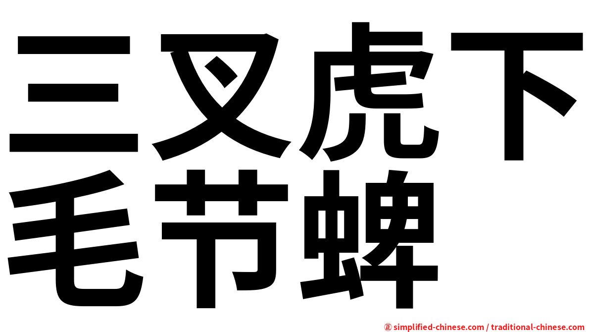 三叉虎下毛节蜱