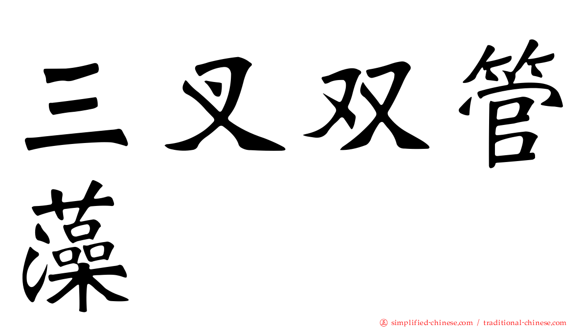 三叉双管藻