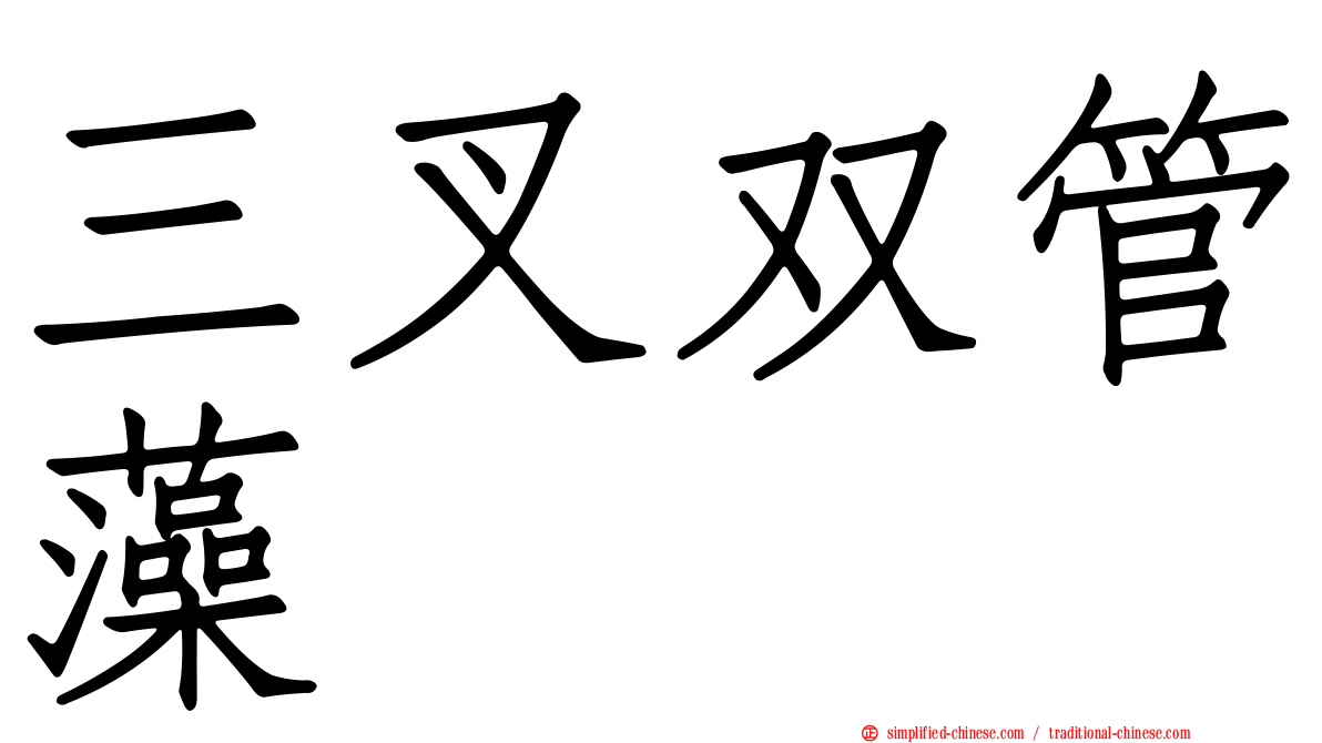 三叉双管藻