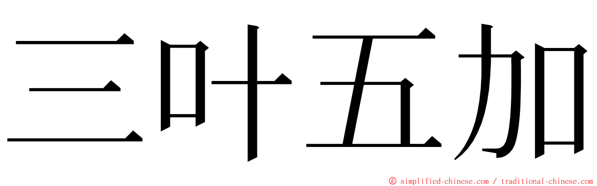 三叶五加 ming font